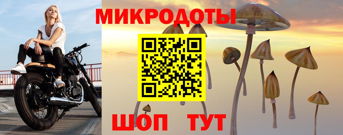 Орёл  Галлюциногенные грибы Magic Shrooms  Галлюциногенные грибы Cubensis  Вход с VPN 